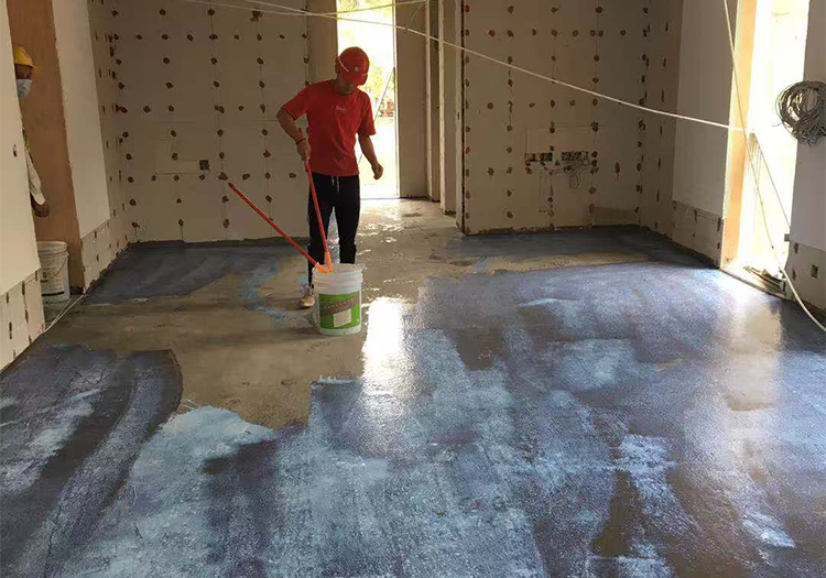 1736906872.jpg 7.jpg